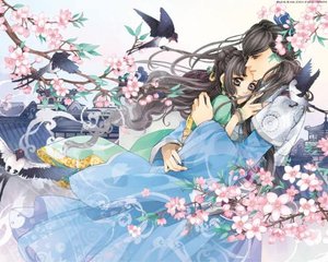 夜来香研究所官网